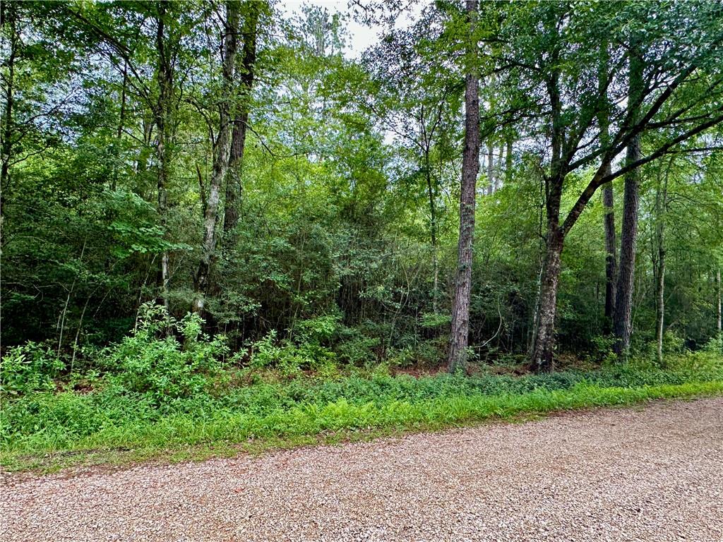 Lot 3 Par Street, Abita Springs, Louisiana image 4