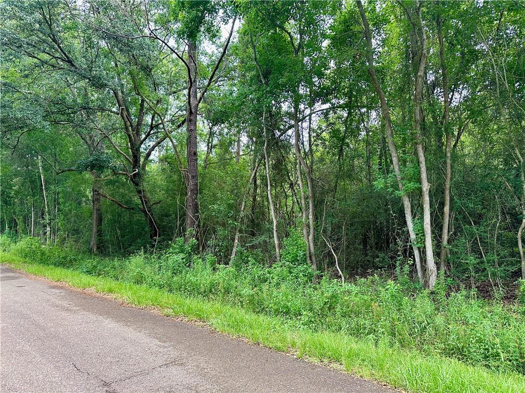 Lot 22 Ford Street, Abita Springs, Louisiana image 4