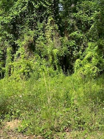 45075 Chemekette Road, Robert, Louisiana image 2