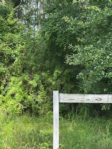 45075 Chemekette Road, Robert, Louisiana image 4