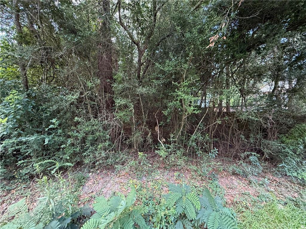 26068 E Birch Street, Lacombe, Louisiana image 1