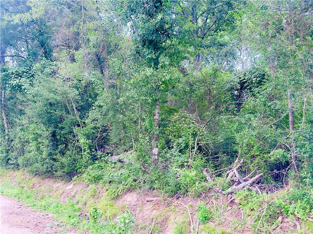 32.34 Acres Musacchia Road, Tickfaw, Louisiana image 2