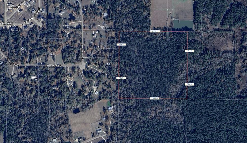 Hwy 445 & Wittie, Robert, Louisiana image 1