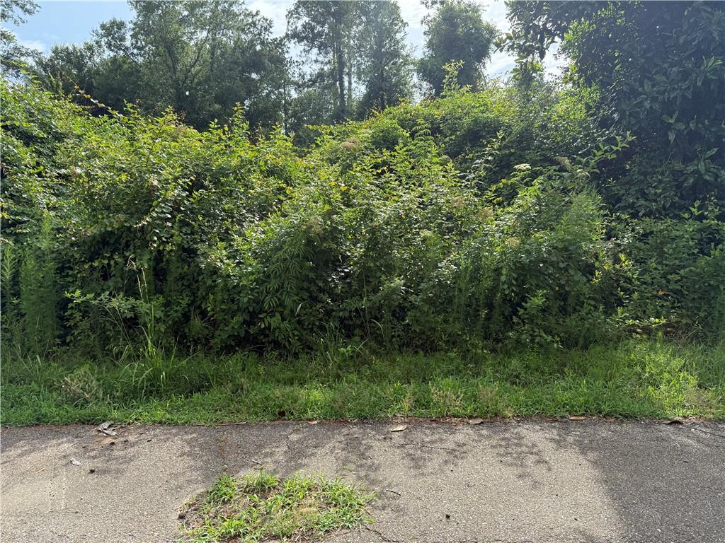 Lot 5-C Robinson Road, Hammond, Louisiana image 1