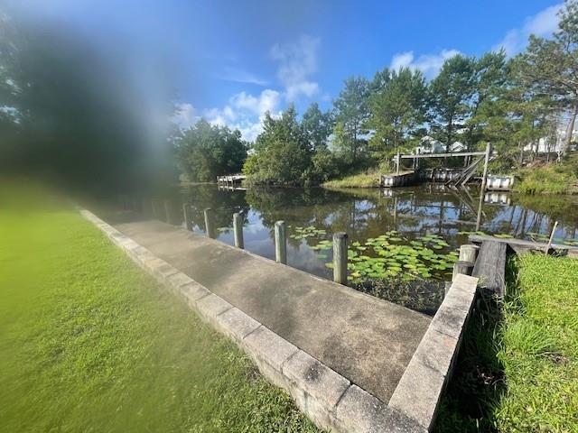 17049 Coles Creek Drive, Springfield, Louisiana image 16