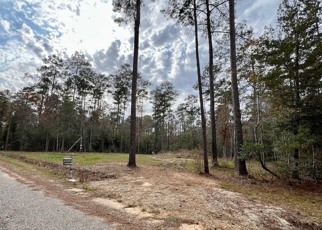 13619 Crabapple Lane, Franklinton, Louisiana image 1