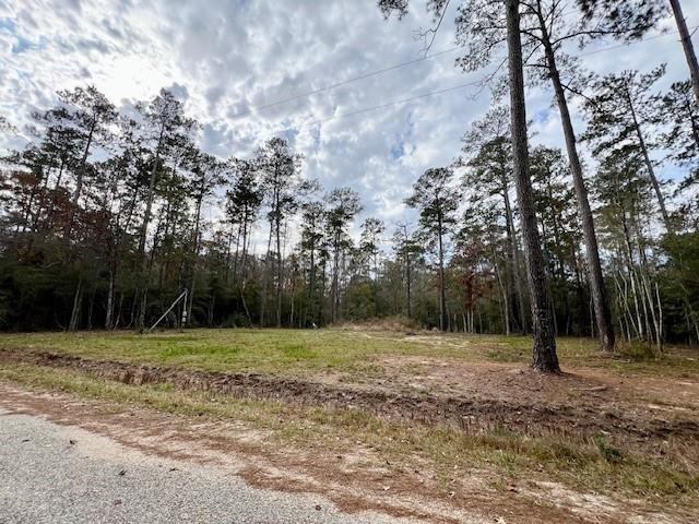 13619 Crabapple Lane, Franklinton, Louisiana image 2