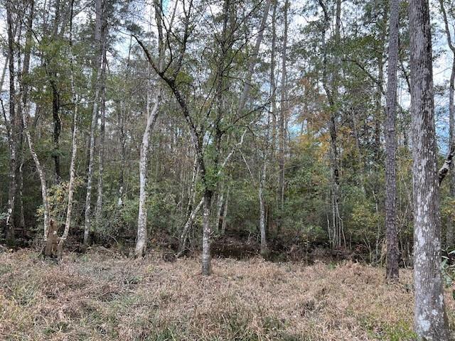 13619 Crabapple Lane, Franklinton, Louisiana image 4