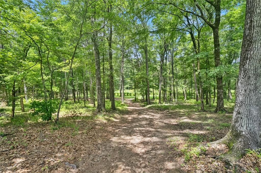 75581 N Hayes Road, Kentwood, Louisiana image 25