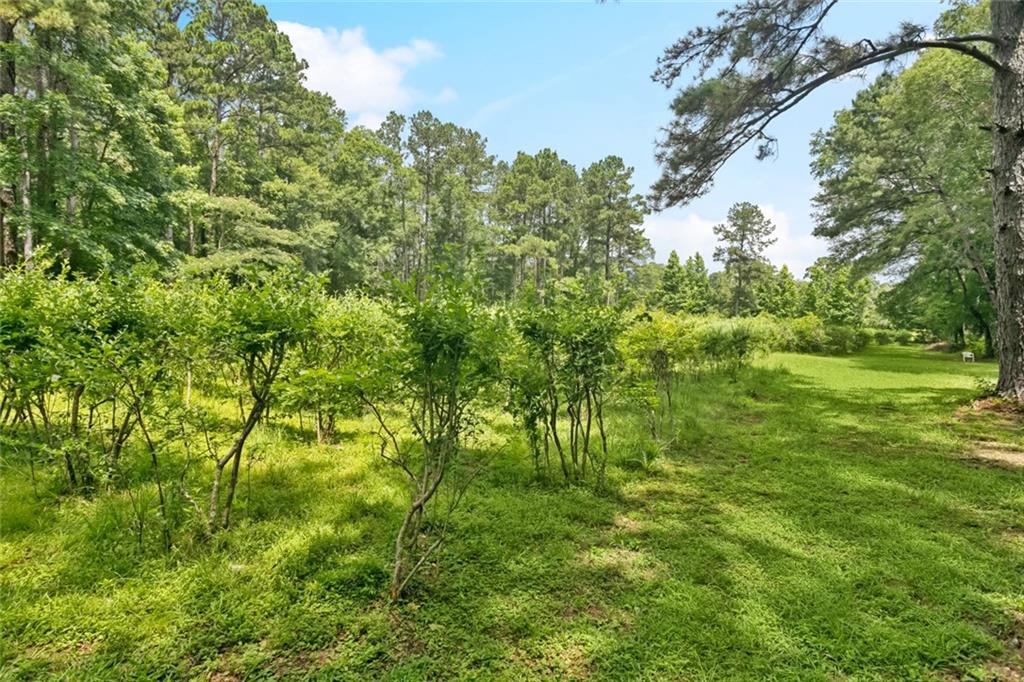 75581 N Hayes Road, Kentwood, Louisiana image 26