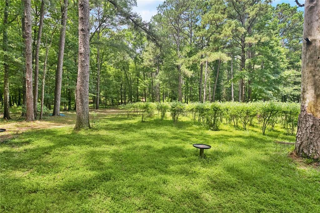 75581 N Hayes Road, Kentwood, Louisiana image 27