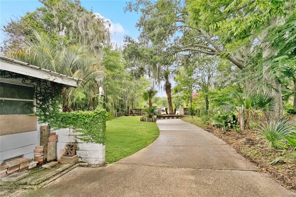 215 Jackson Avenue, Mandeville, Louisiana image 6