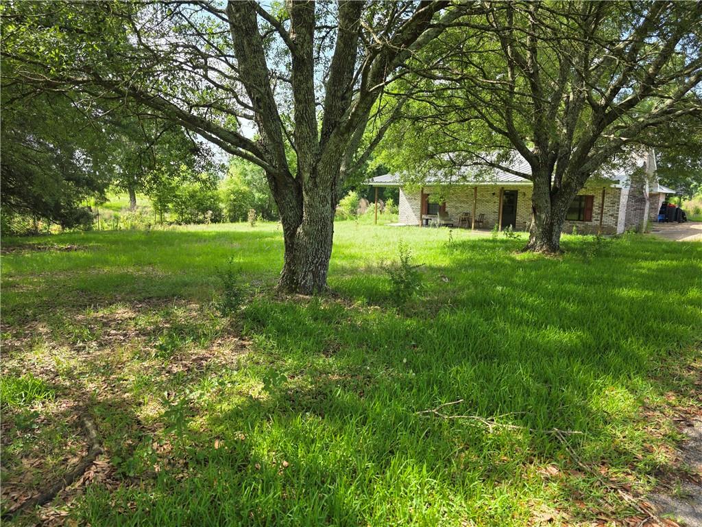 35218 Sunny Hill Road, Mount Hermon, Louisiana image 5