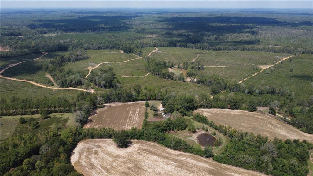 232 Acres Chess Bankston Road, Franklinton, Louisiana image 4