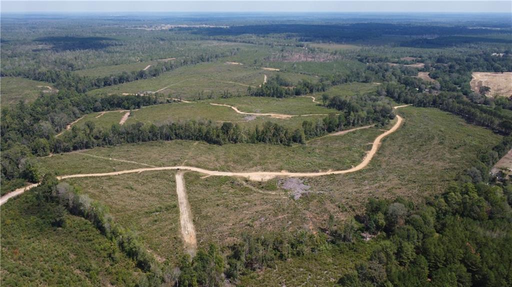 232 Acres Chess Bankston Road, Franklinton, Louisiana image 5