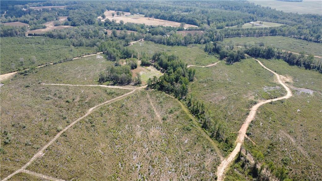 232 Acres Chess Bankston Road, Franklinton, Louisiana image 6