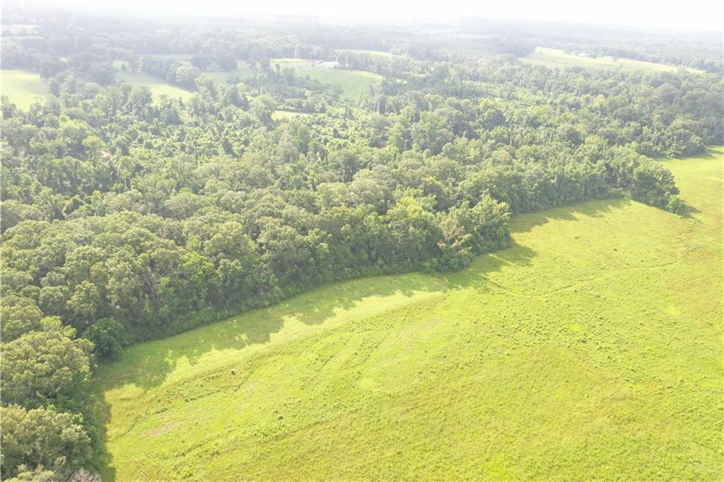 La. 412 And Overton Rd Road, Slaughter, Louisiana image 13