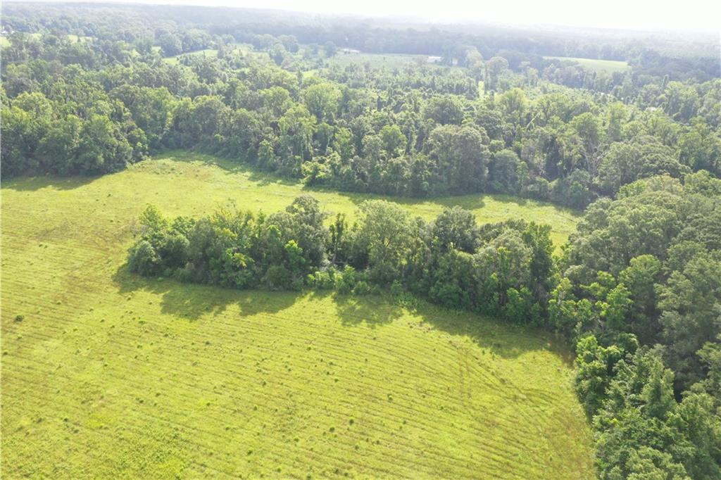 La. 412 And Overton Rd Road, Slaughter, Louisiana image 16