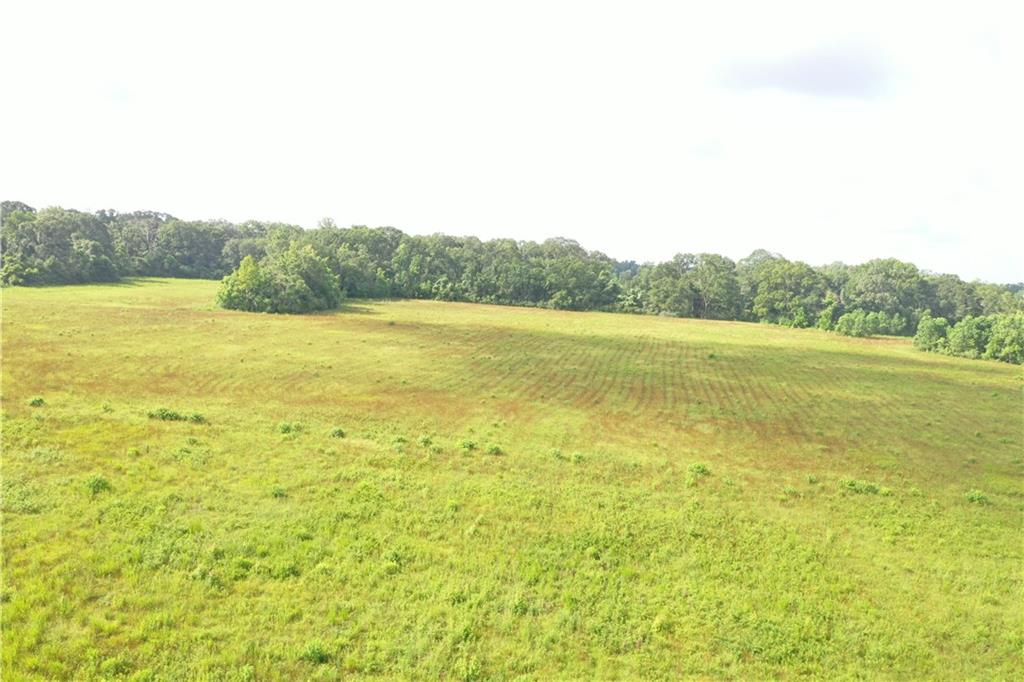 La. 412 And Overton Rd Road, Slaughter, Louisiana image 22