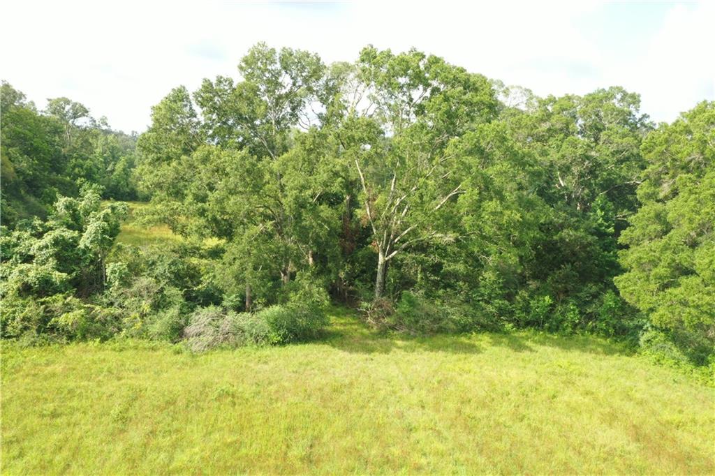 La. 412 And Overton Rd Road, Slaughter, Louisiana image 4