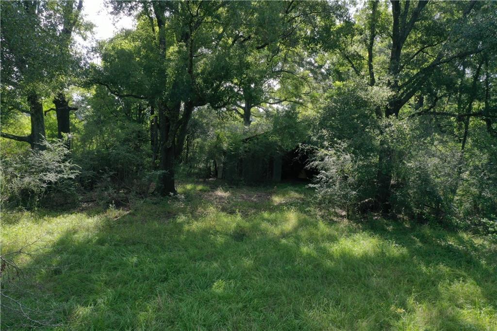 La. 412 And Overton Rd Road, Slaughter, Louisiana image 5