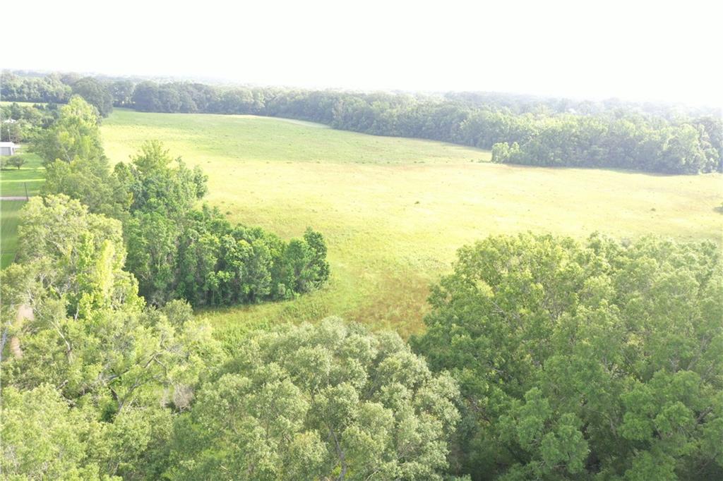 La. 412 And Overton Rd Road, Slaughter, Louisiana image 7