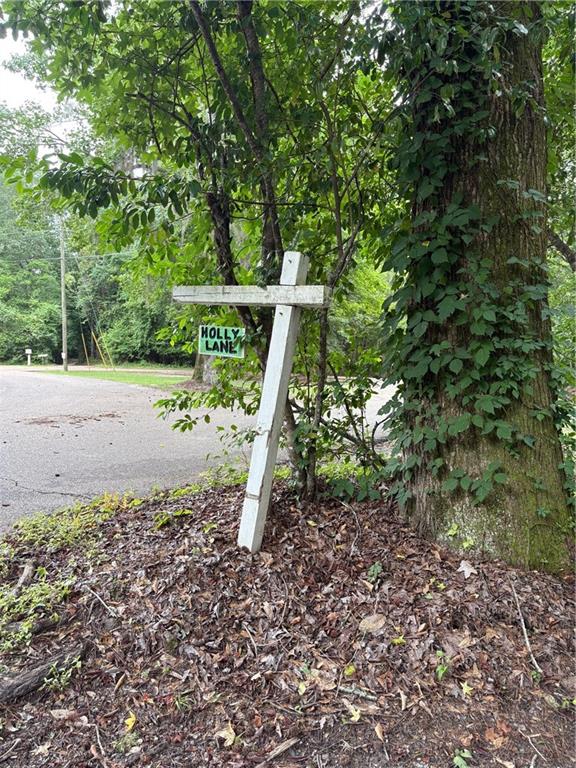 Holly Lane, Covington, Louisiana image 1