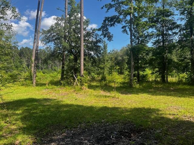 14244 Beagle Bend Road, Tickfaw, Louisiana image 21