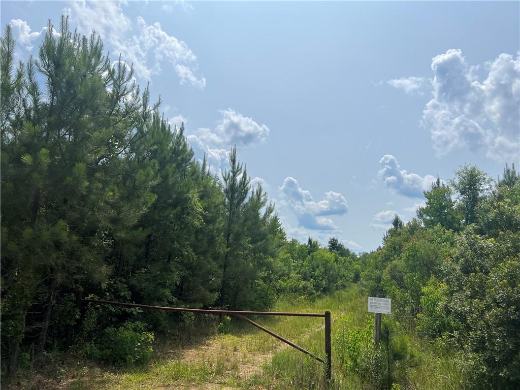 1439 Leonard Chapel Road, Independence, Louisiana image 2