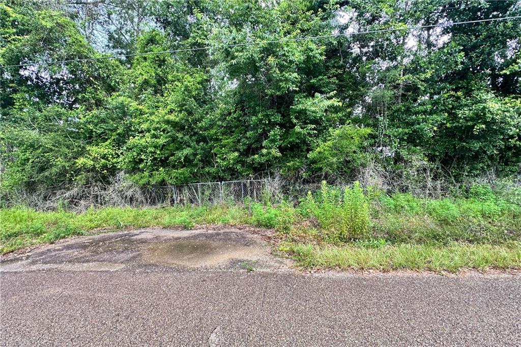 Lot 13 14 15 Highway 434 Highway, Lacombe, Louisiana image 4