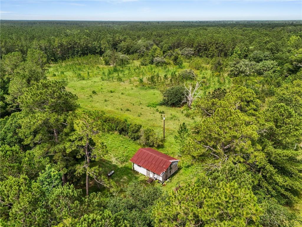 31818 Putt Moran Loop, Lacombe, Louisiana image 14
