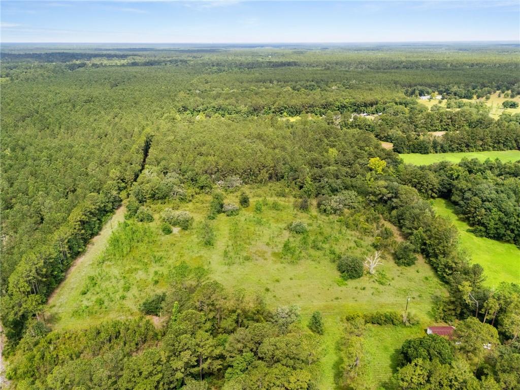 31818 Putt Moran Loop, Lacombe, Louisiana image 2