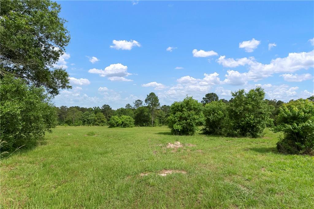 15488 Lake Ramsey Road, Covington, Louisiana image 31