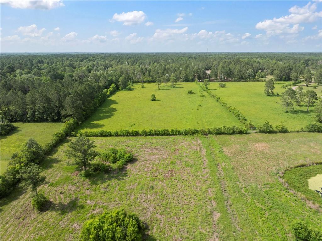 15488 Lake Ramsey Road, Covington, Louisiana image 47