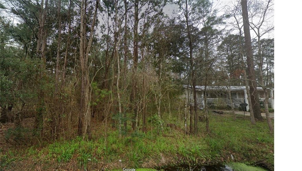 29188 Chene Drive, Lacombe, Louisiana image 2