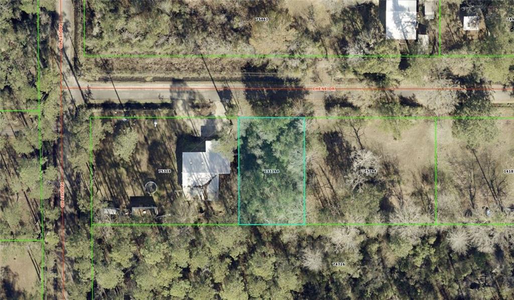 29188 Chene Drive, Lacombe, Louisiana image 3