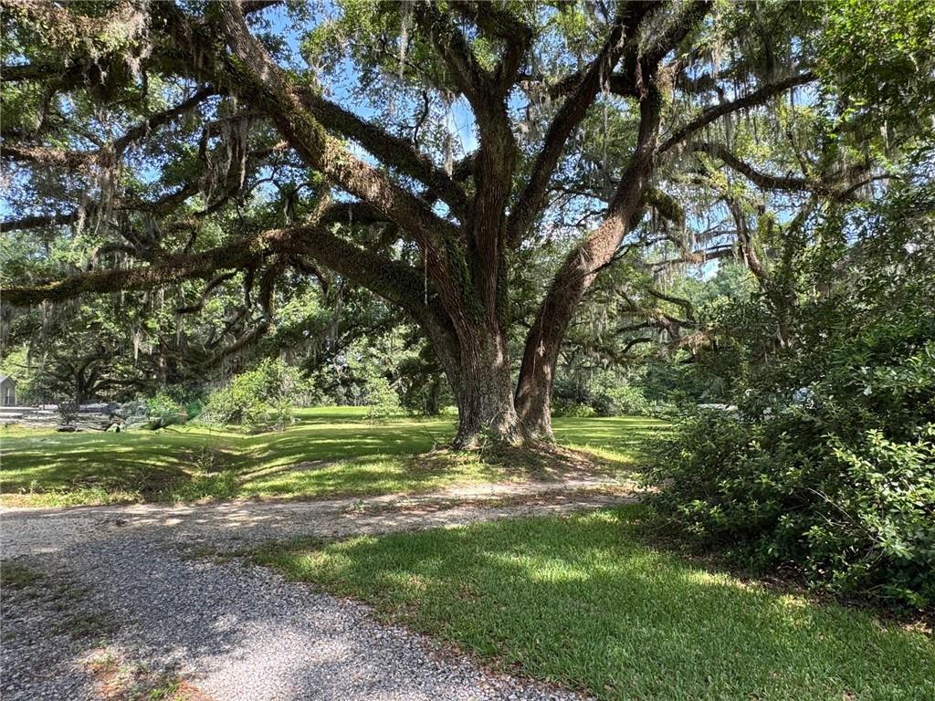 72397 Highway 41 Highway, Pearl River, Louisiana image 10