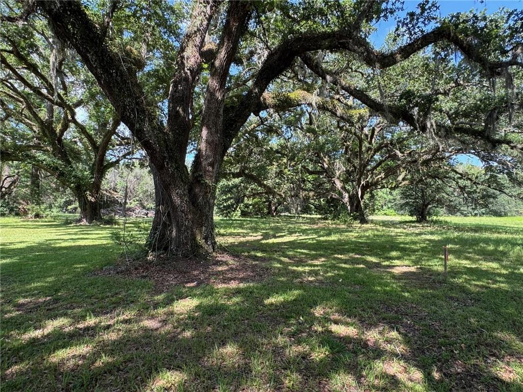 72397 Highway 41 Highway, Pearl River, Louisiana image 20