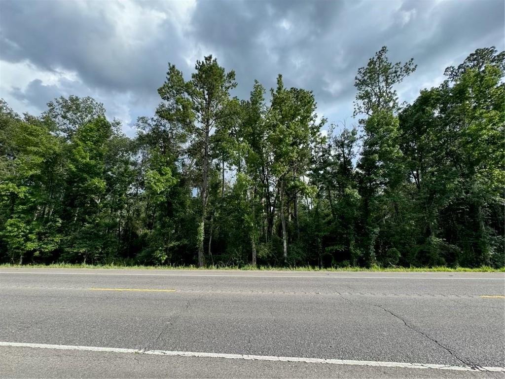 BP-7 Highway 190, Holden, Louisiana image 3