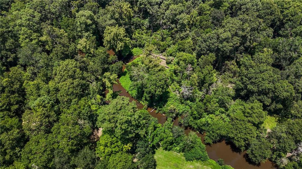 Lot 10 Oak River Place, Covington, Louisiana image 6