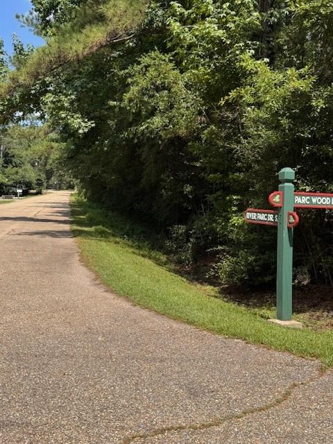 River Park South Drive, Covington, Louisiana image 1