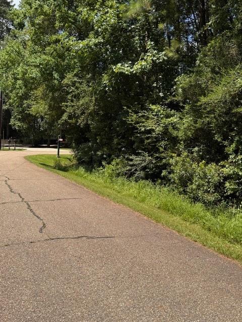 River Park South Drive, Covington, Louisiana image 7