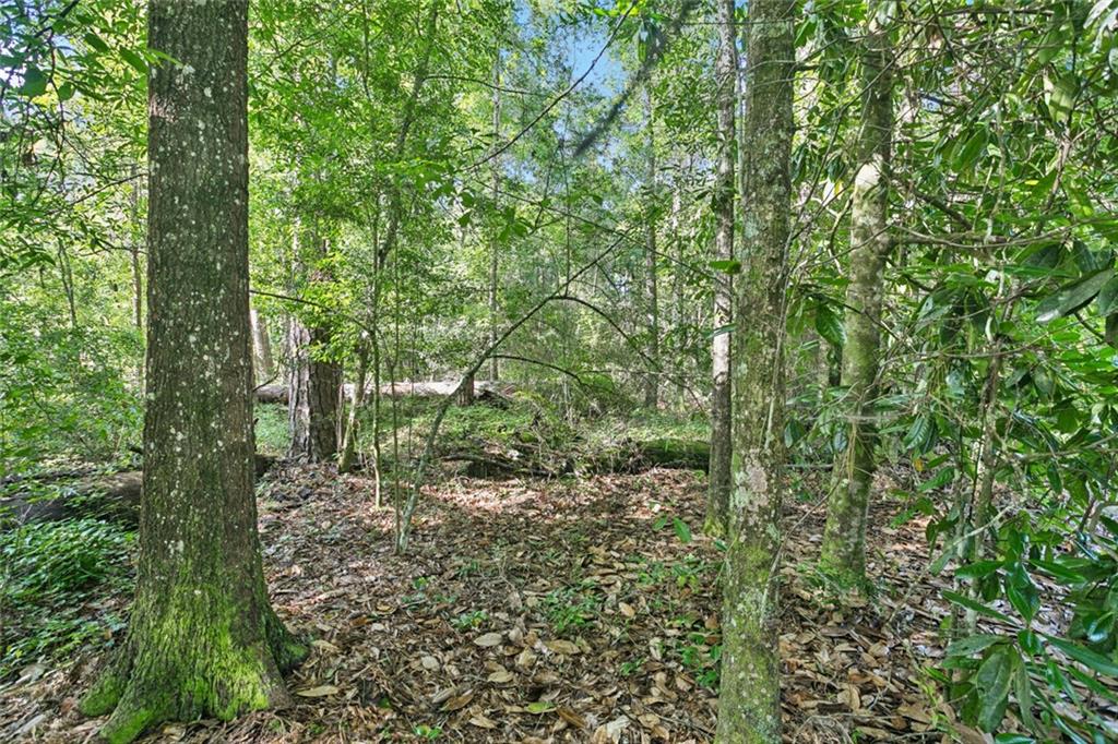 Philebar Road, Folsom, Louisiana image 3