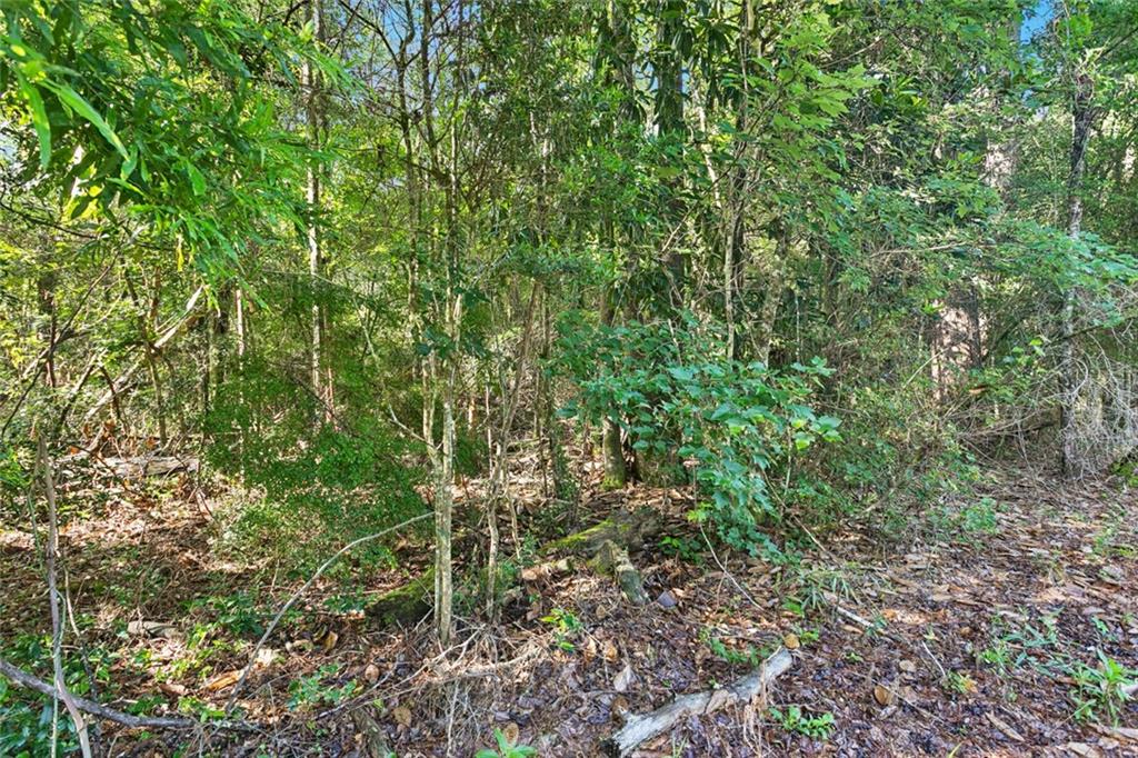 Philebar Road, Folsom, Louisiana image 5