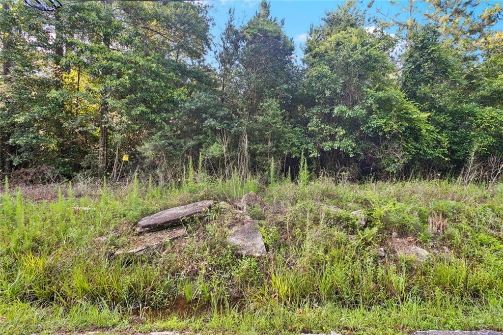 Philebar Road, Folsom, Louisiana image 6