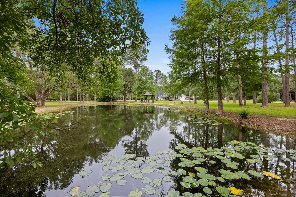 41177 Firetower Road, Ponchatoula, Louisiana image 27