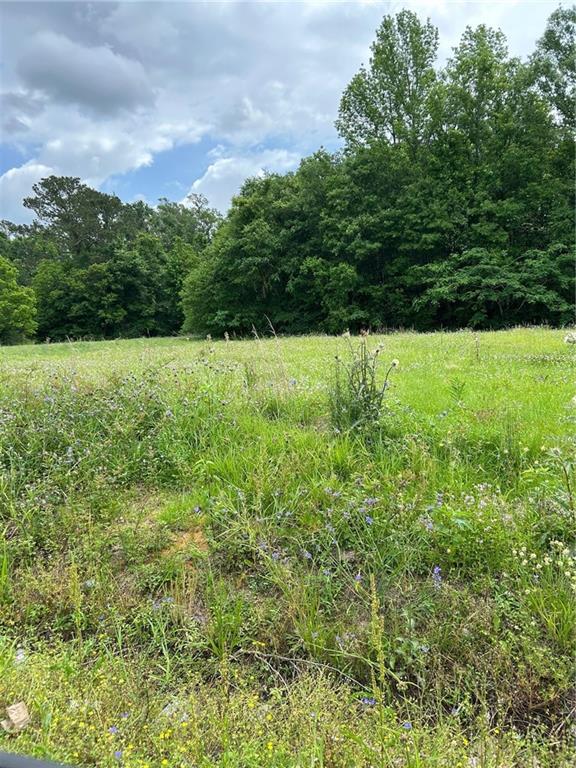 1010-12 Martin Luther King Drive, Hammond, Louisiana image 3