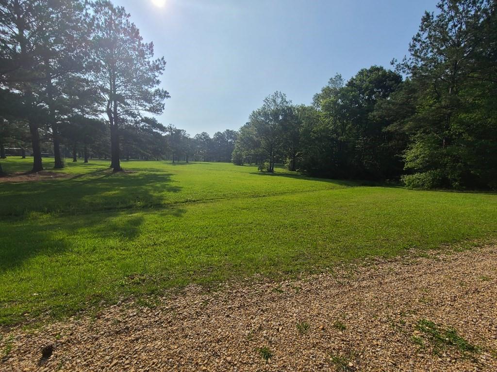 00 Thompson Lane, Carriere, Mississippi image 1