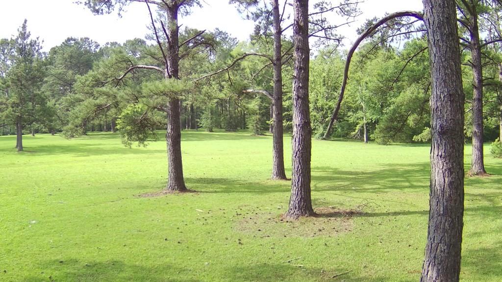 00 Thompson Lane, Carriere, Mississippi image 20