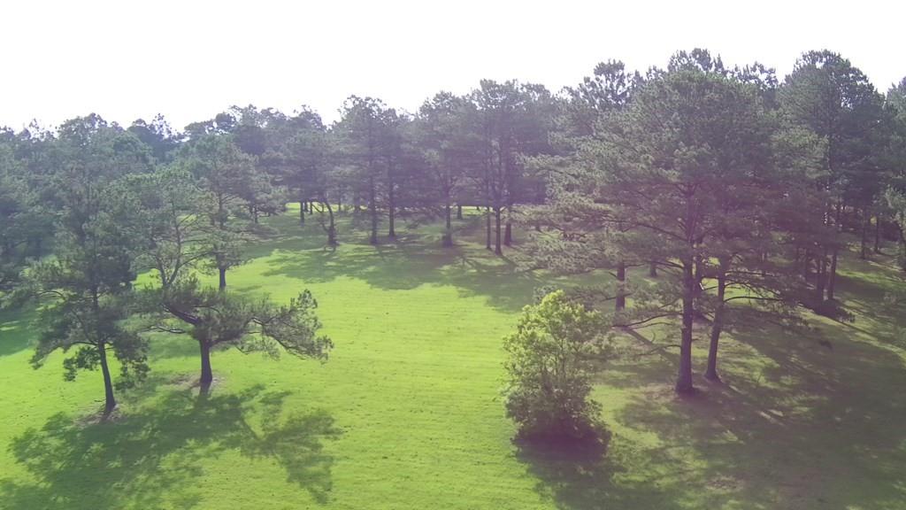 00 Thompson Lane, Carriere, Mississippi image 7